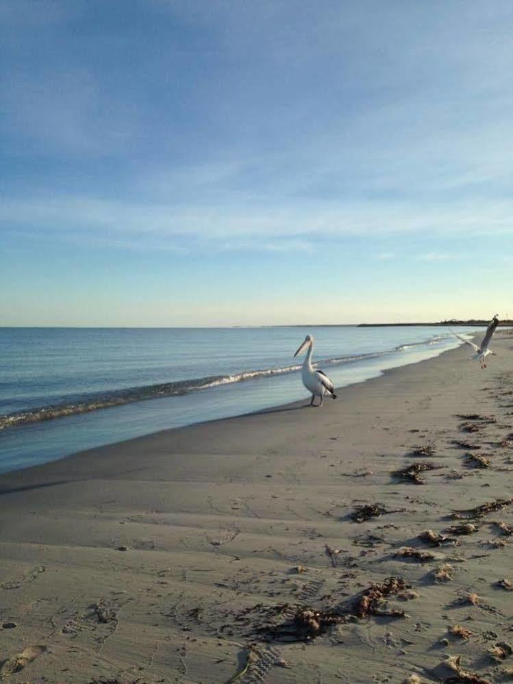 Busselton Guest House 外观 照片